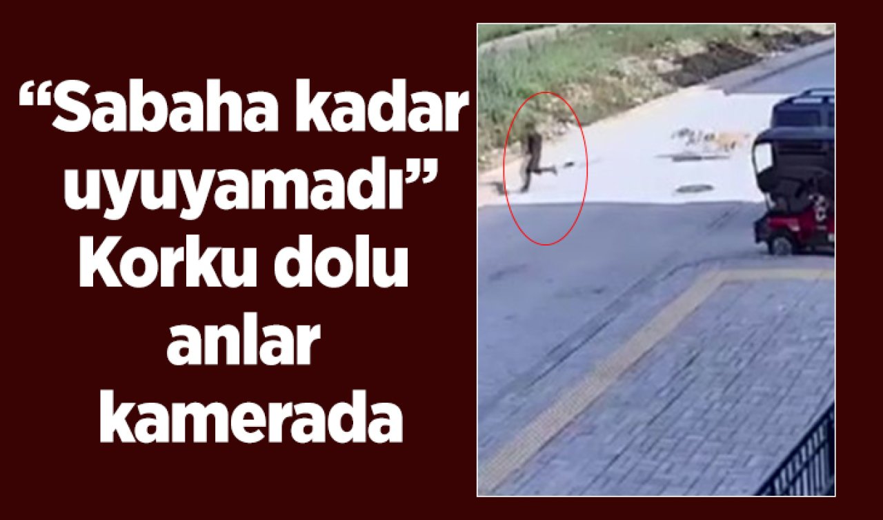 Sokak köpeklerinin saldırdığı 7 yaşındaki çocuğun korku dolu anları kamerada