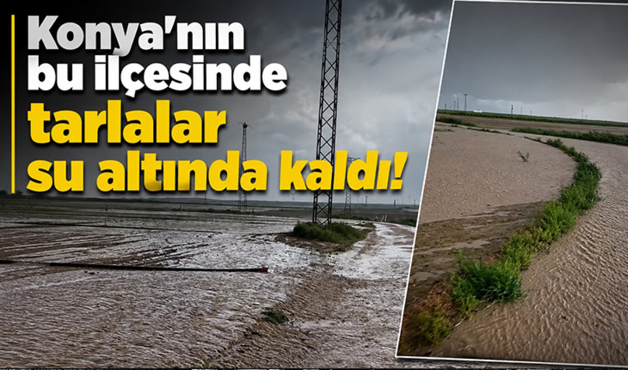 Konya’nın bu ilçesinde tarlalar su altında kaldı!