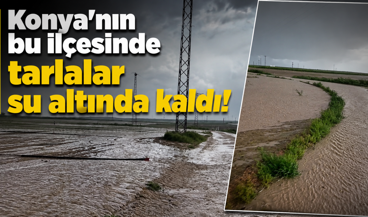 Konya’nın bu ilçesinde tarlalar su altında kaldı!