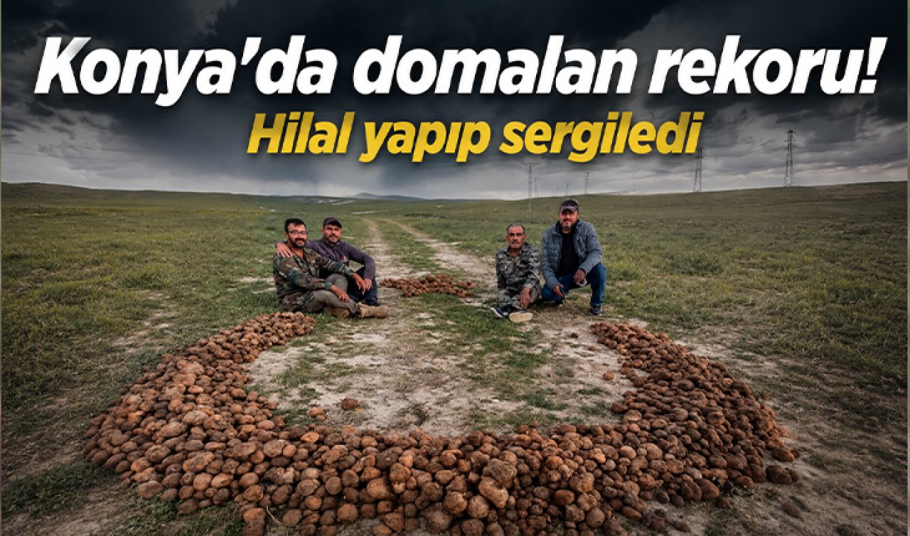 Konya’da domalan rekoru! Hilal yapıp sergiledi