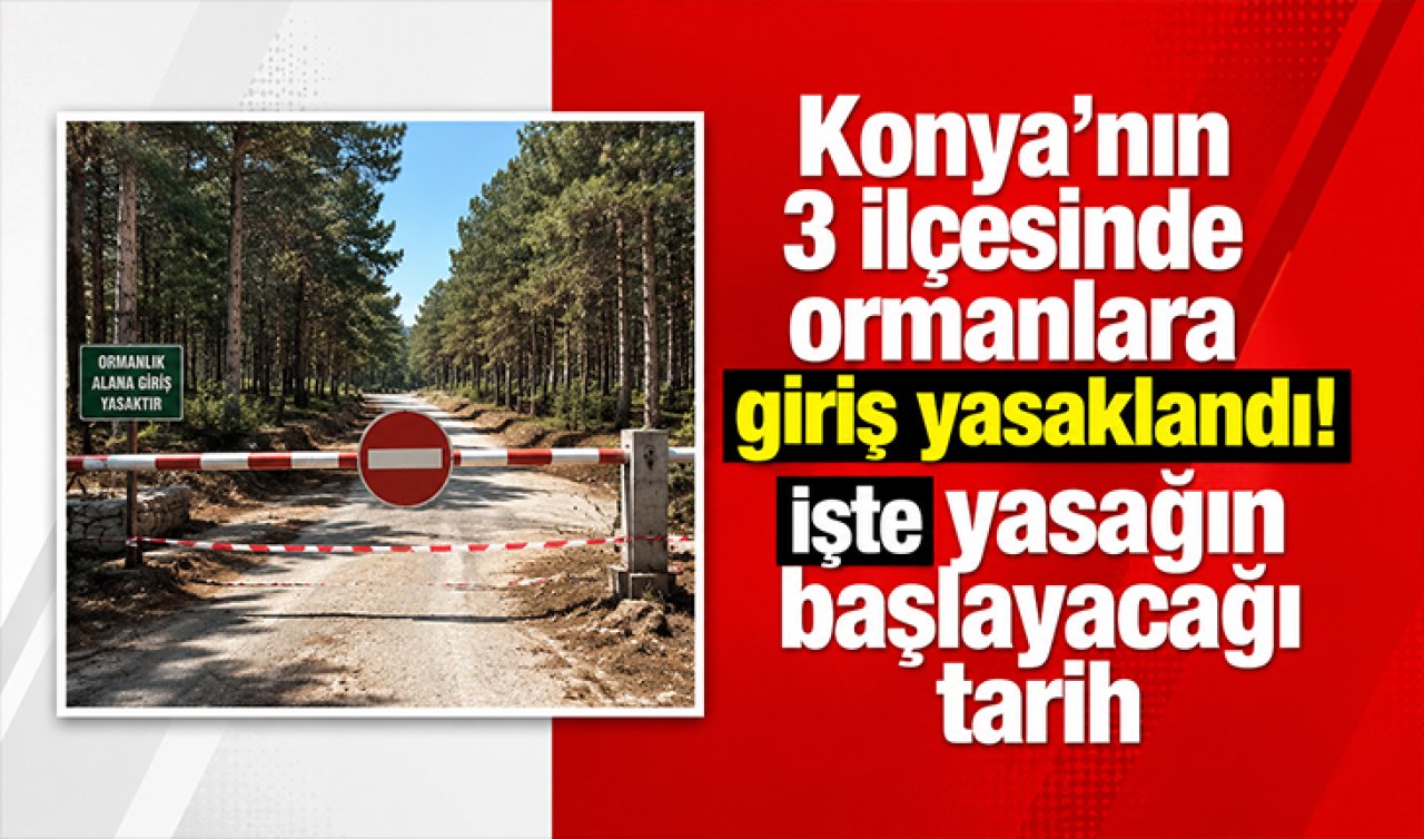 Konya’nın 3 ilçesinde ormanlara giriş yasaklandı! İşte yasağın başlayacağı tarih