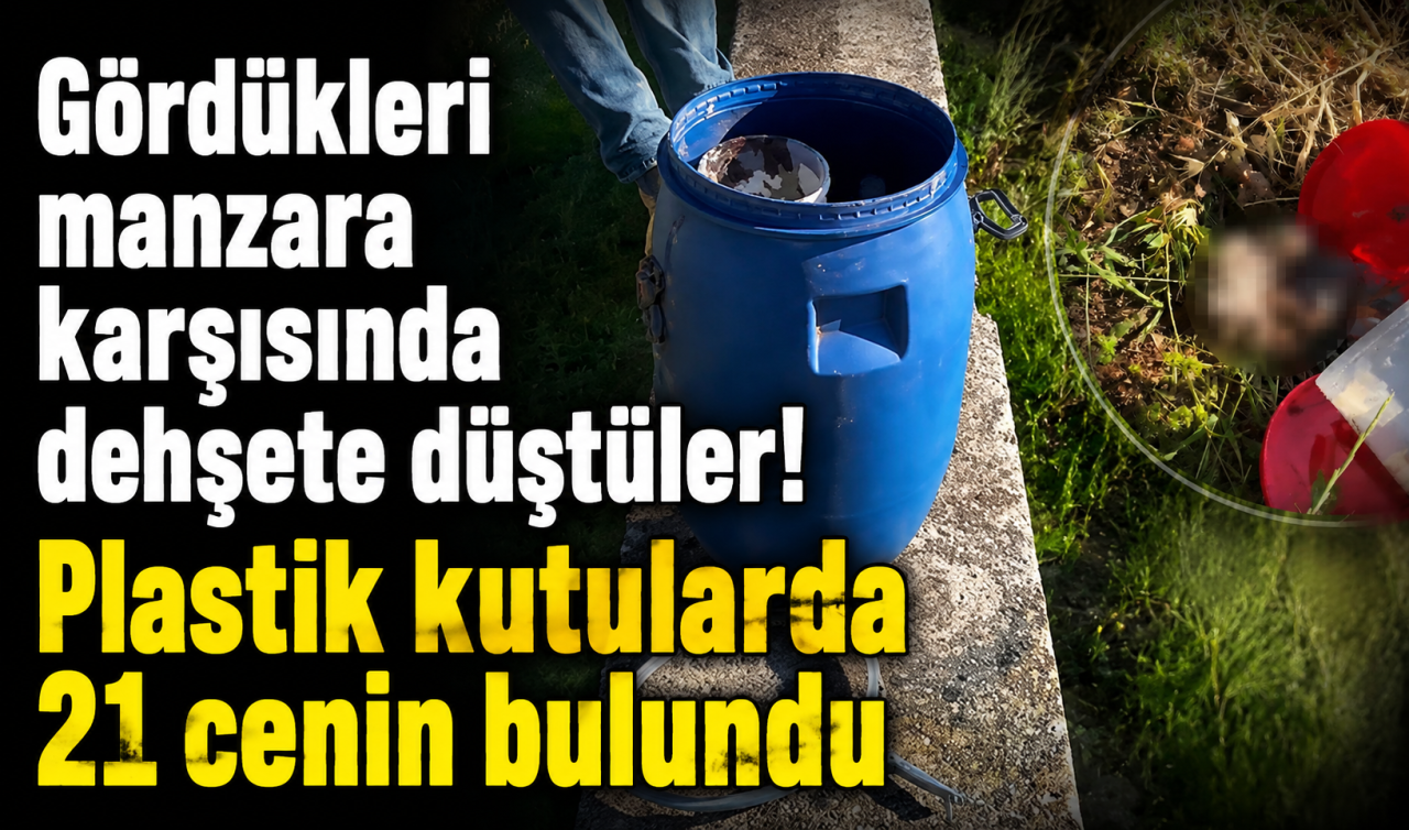 Gördükleri manzara karşısında dehşete düştüler! Plastik kutularda 21 cenin bulundu