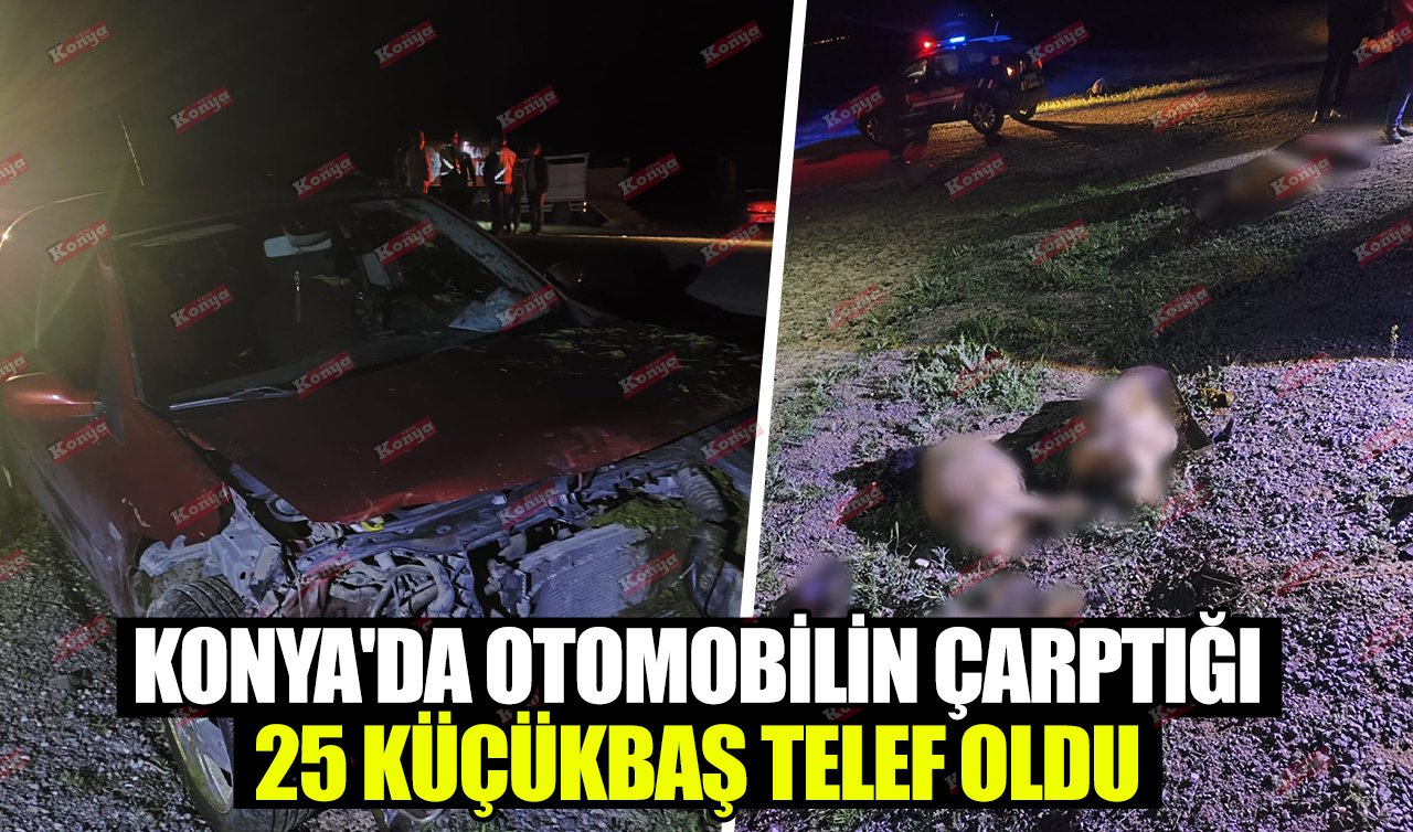 Konya’da otomobilin çarptığı 25 küçükbaş telef oldu! 