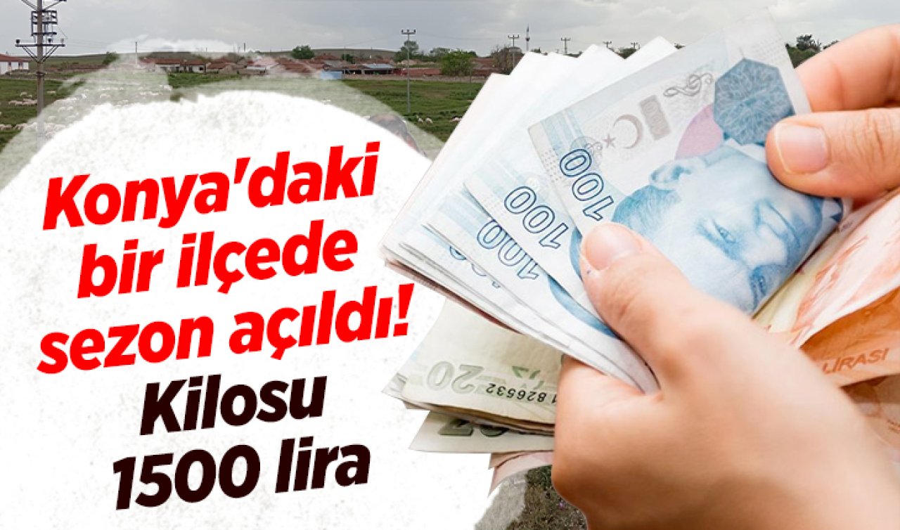 Konya’daki bir ilçede sezon açıldı! Kilosu 1500 lira 