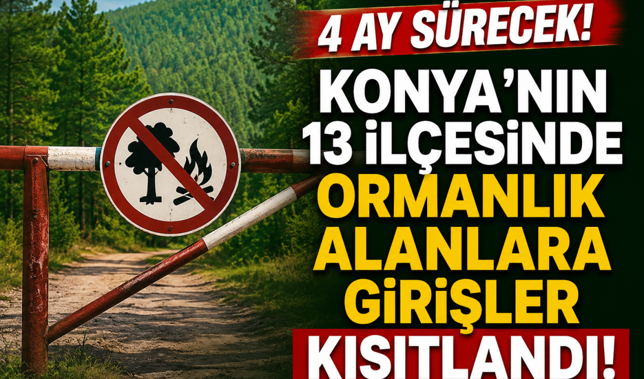 Konya’nın 13 ilçesinde ormanlık alanlara girişler kısıtlandı! 4 ay sürecek