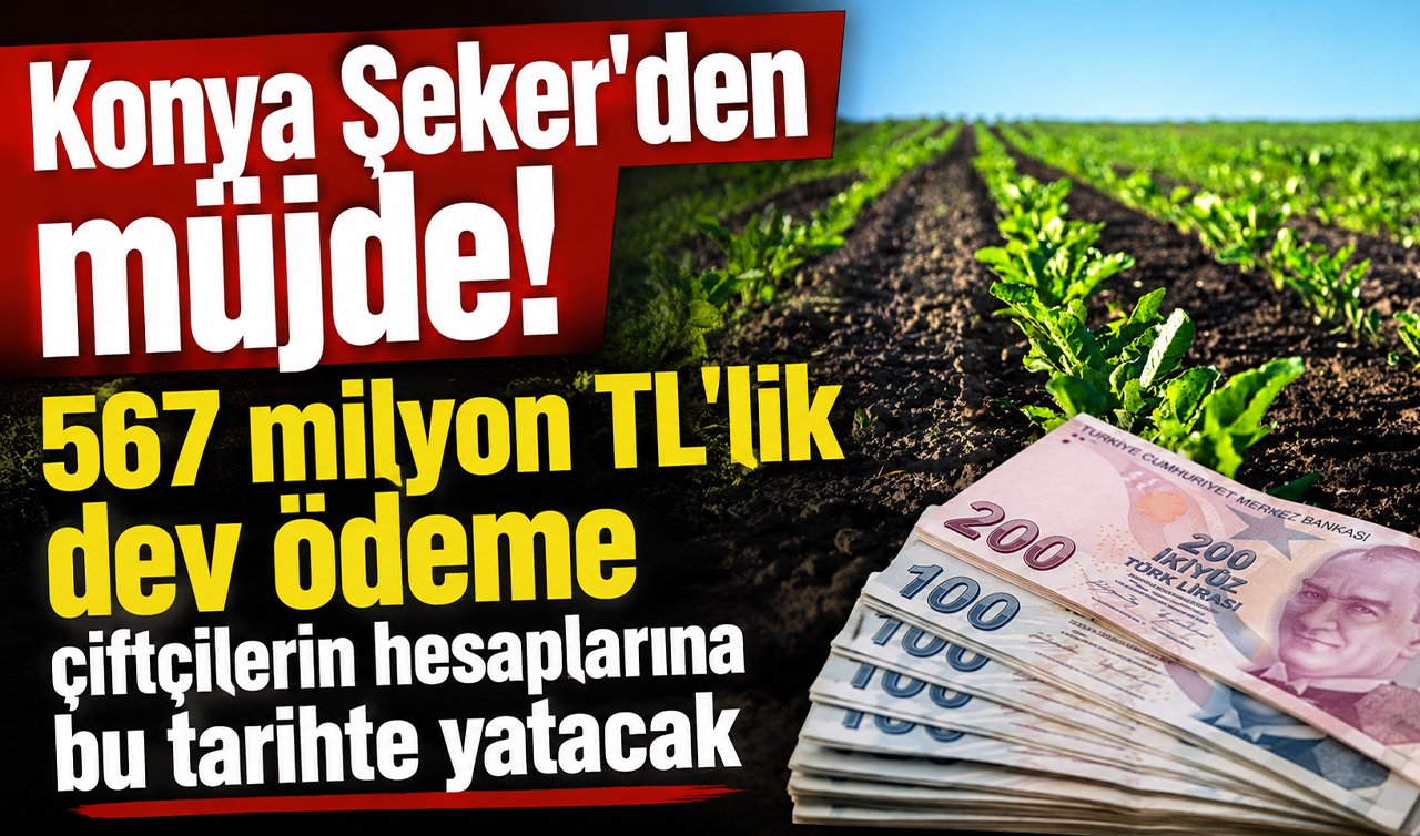 Konya Şeker’den müjde! 567 milyon TL’lik dev ödeme çiftçilerin hesaplarına bu tarihte yatacak