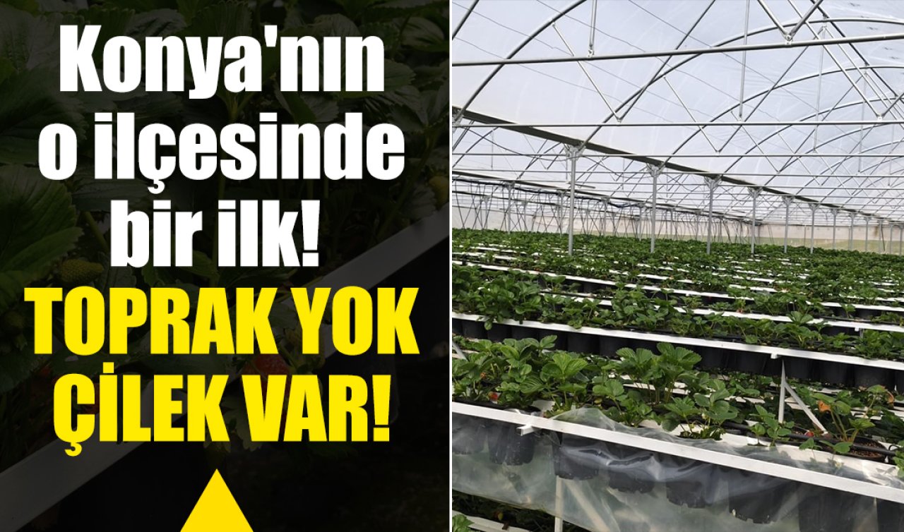 Konya’nın o ilçesinde bir ilk! İmzalar atıldı: TOPRAK YOK ÇİLEK VAR!