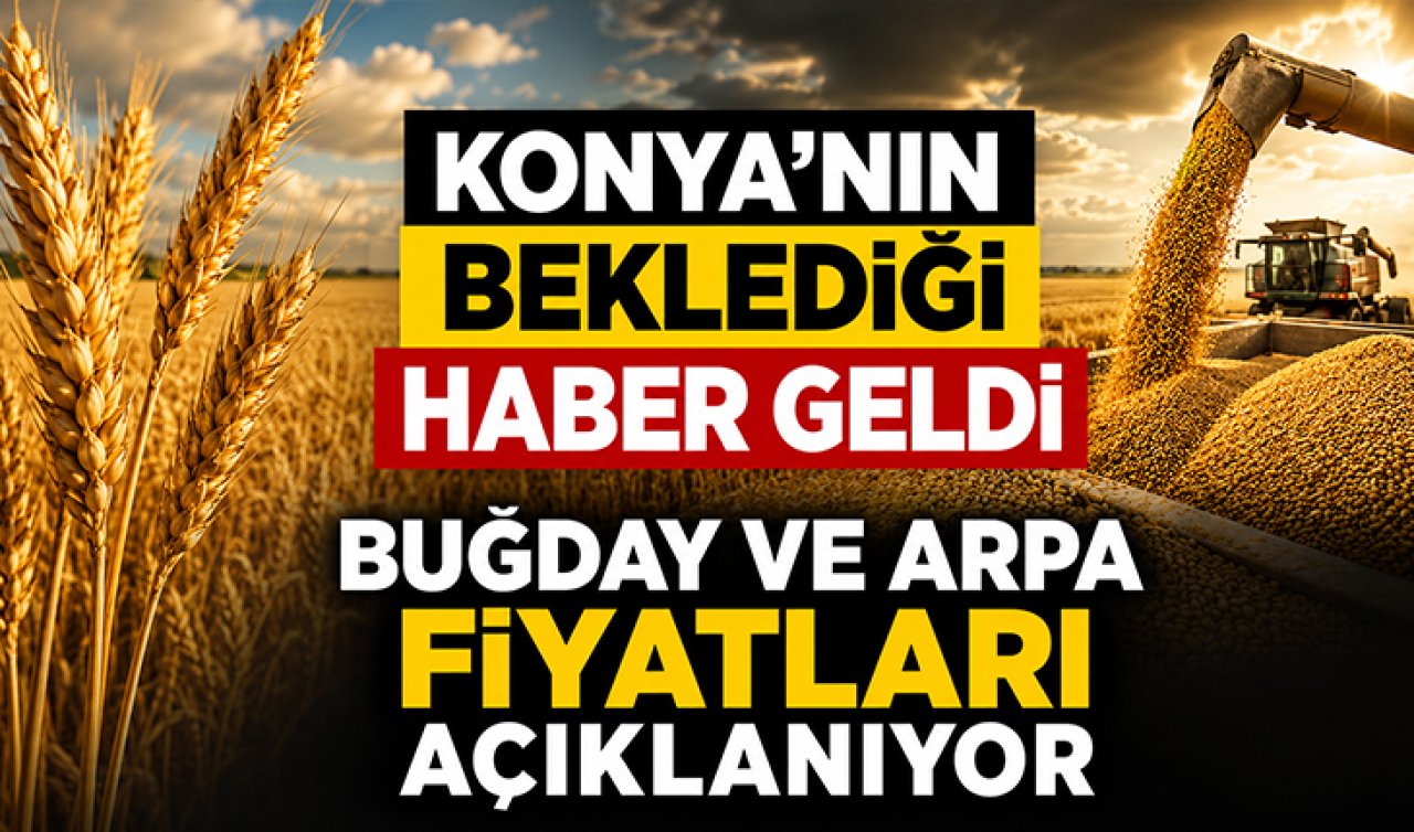 Konya’nın beklediği haber geldi! Buğday ve Arpa fiyatları açıklanıyor 
