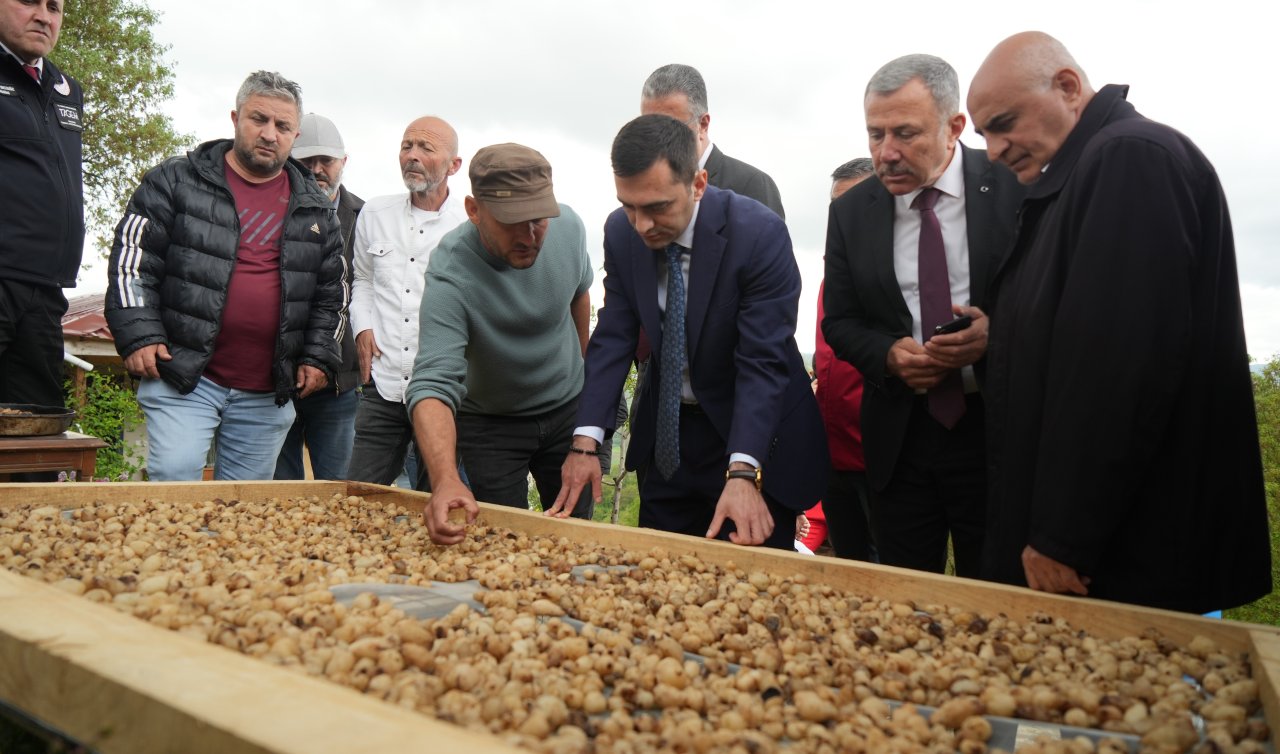Topraktaki altın! Kilosu 12 bin TL