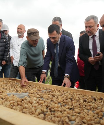 Topraktaki altın! Kilosu 12 bin TL