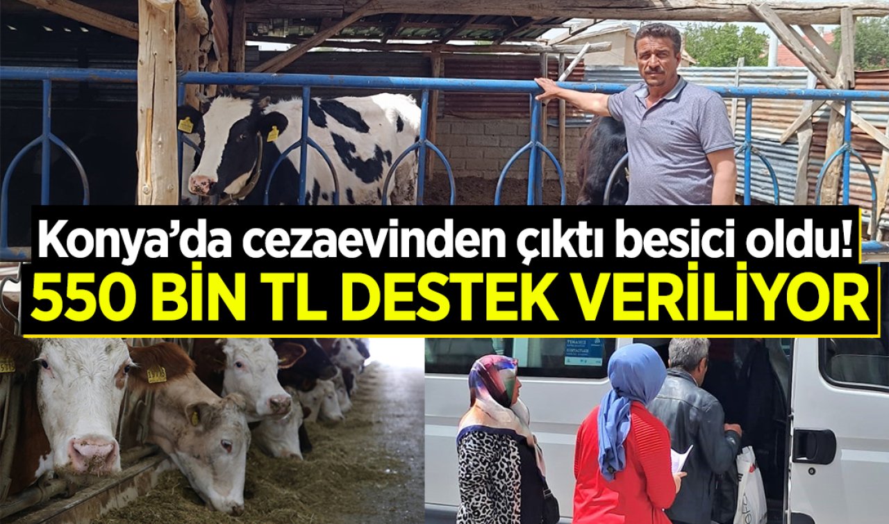 Konya’da cezaevinden çıktı besici oldu! 550 Bin TL destek veriliyor