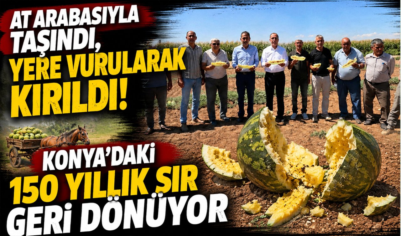 At arabasıyla taşındı, yere vurularak kırıldı! Konya’daki 150 yıllık sır geri dönüyor