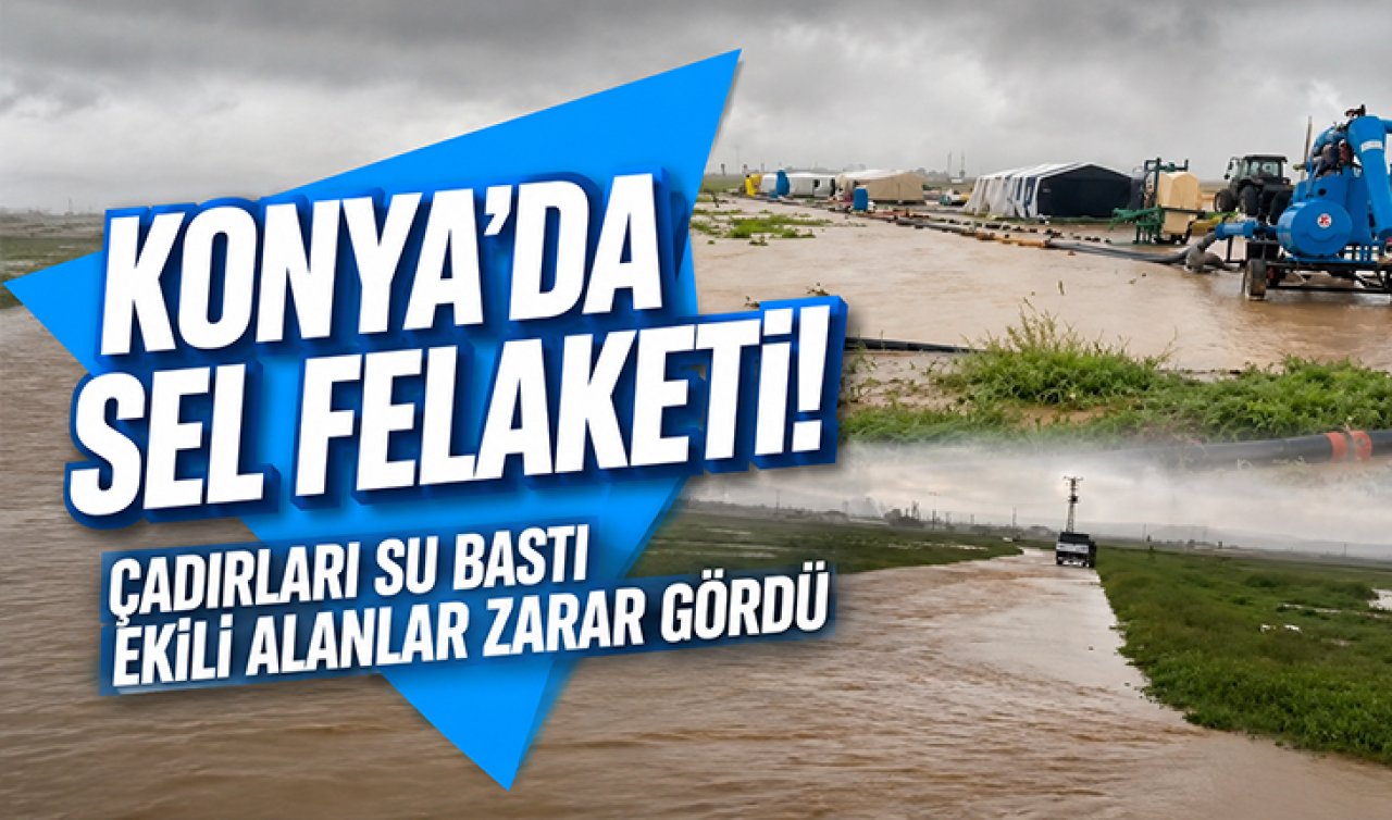 Konya’da sel felaketi! Çadırları su bastı ekili alanlar zarar gördü