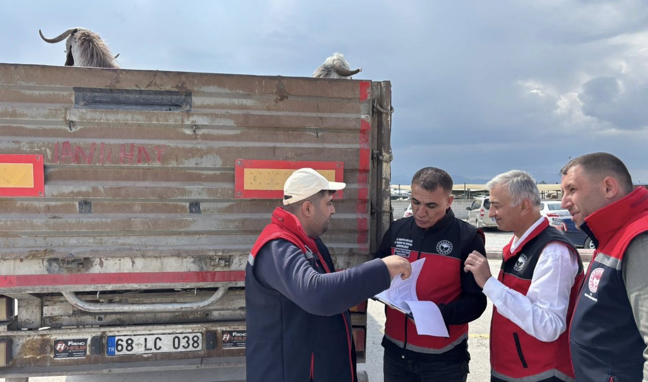 Konya’da Kurban Bayramı öncesi sıkı denetim! Hayvan sevkleri mercek altında