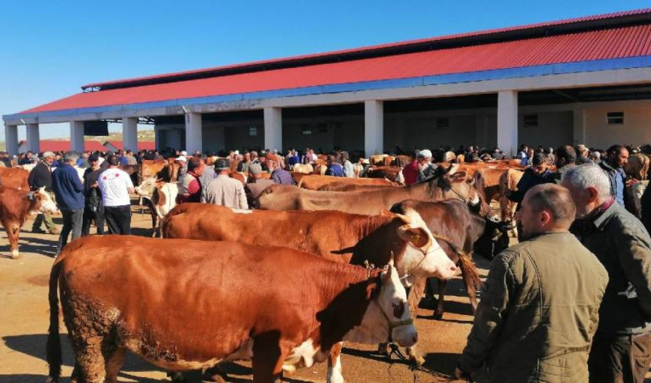 DMM’den sahte kurban ilanlarına ilişkin uyarı