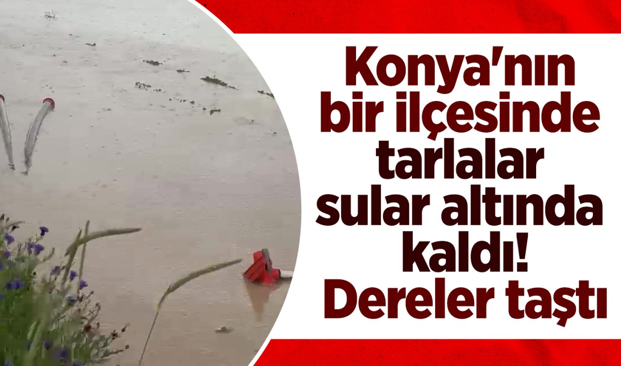 Konya’nın bir ilçesinde tarlalar sular altında kaldı! Dereler taştı 