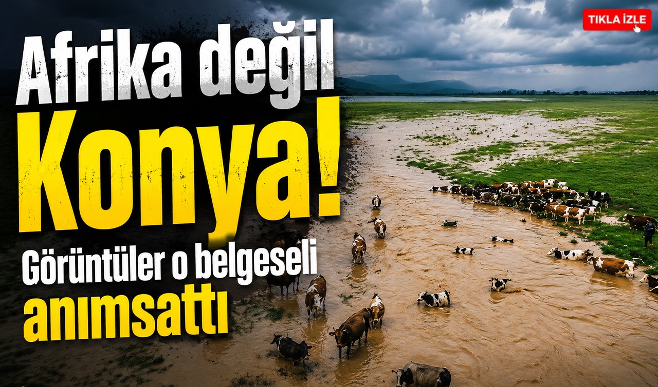 Afrika değil Konya! Görüntüler o belgeseli anımsattı 