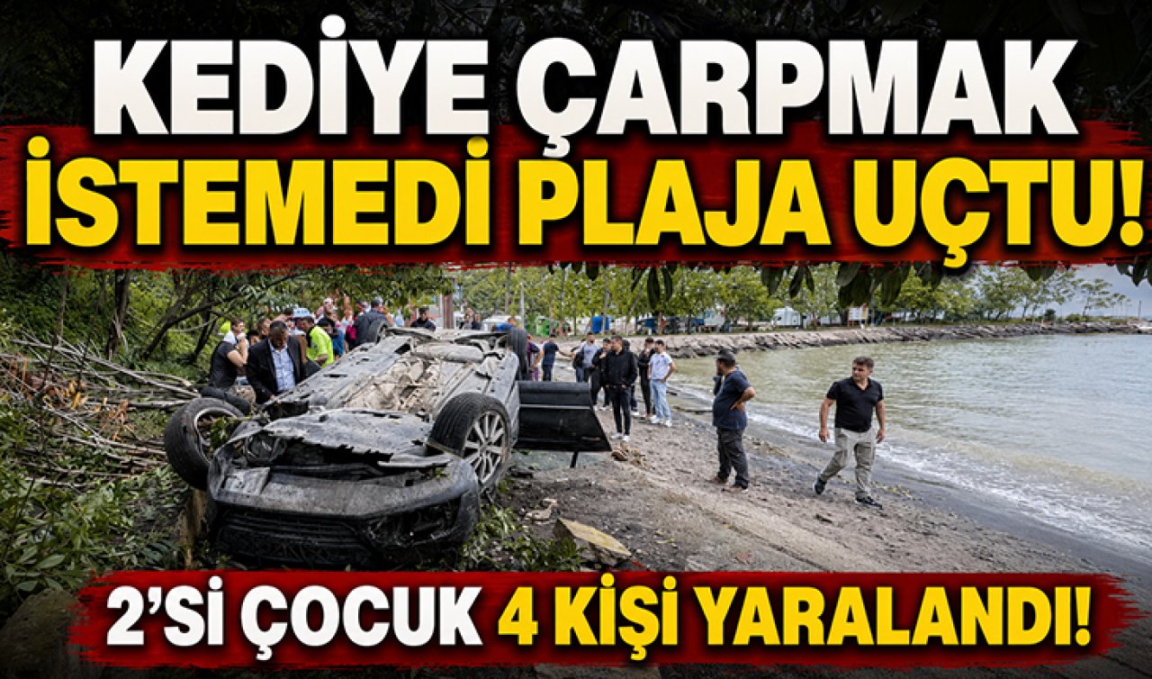 Kediye çarpmak istemedi plaja uçtu! 2’si çocuk 4 kişi yaralandı!