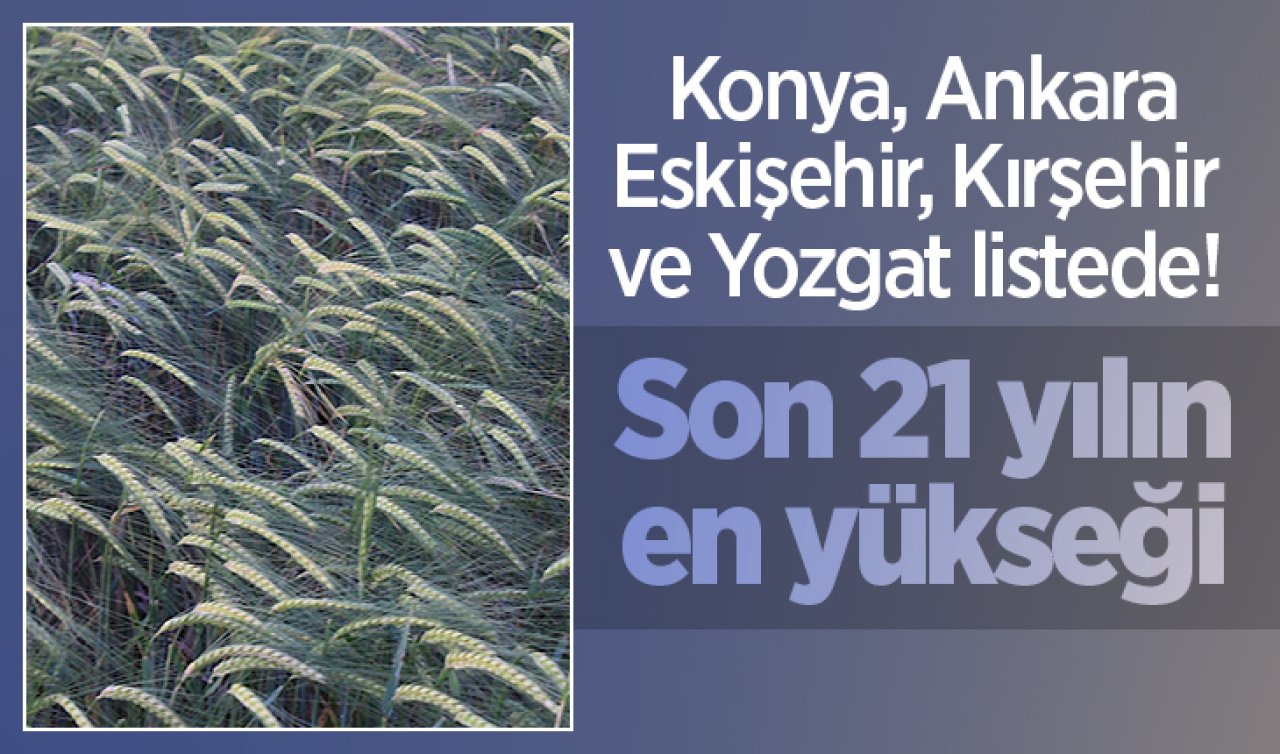 Konya, Ankara, Eskişehir, Kırşehir ve Yozgat listede! Son 21 yılın en yükseği 