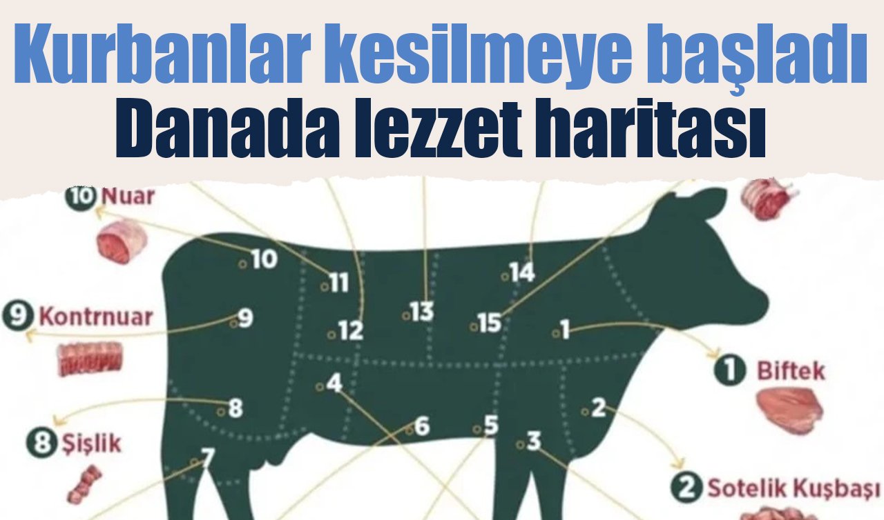 Kurbanlar kesilmeye başladı: Danada lezzet haritası