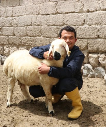 Hayvan sevgisiyle sağlığına kavuştu; köyüne dönüp modern tarım ve hayvancılığa başladı