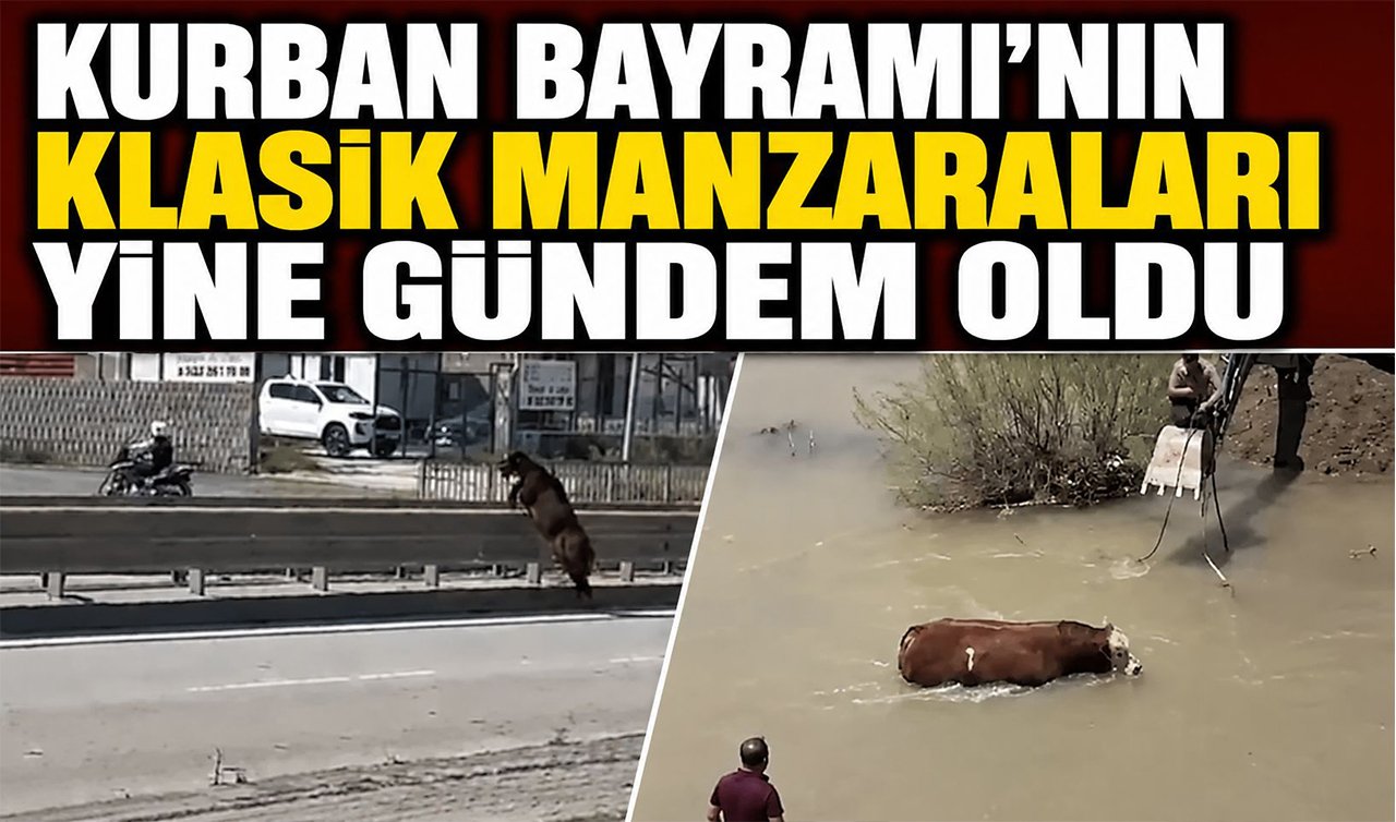 Kurban Bayramı’nın klasik manzaraları yine gündem oldu
