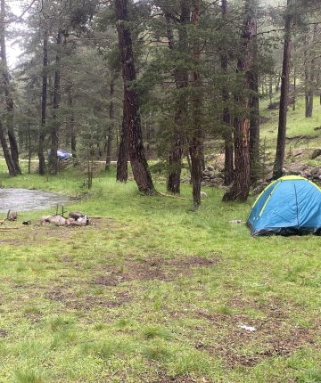 Piknik yaptıkları alana yıldırım düştü: 1’i ağır 3 yaralı