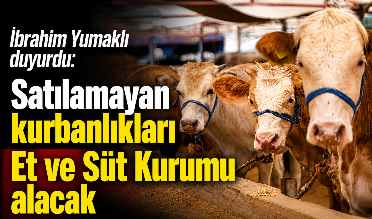 İbrahim Yumaklı duyurdu: Satılamayan kurbanlıkları Et ve Süt Kurumu alacak