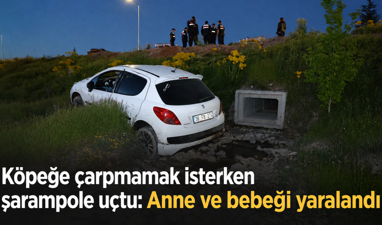Köpeğe çarpmamak isterken şarampole uçtu: Anne ve bebeği yaralandı