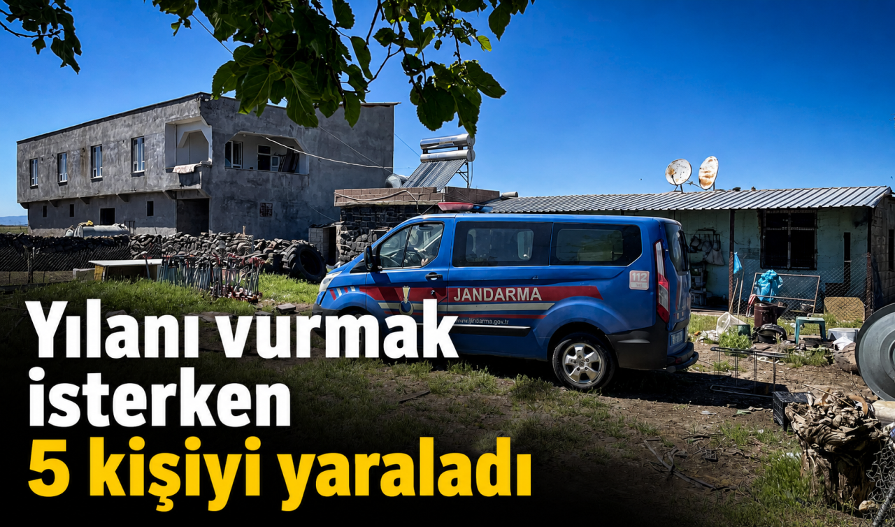 Yılanı vurmak isterken 5 kişiyi yaraladı