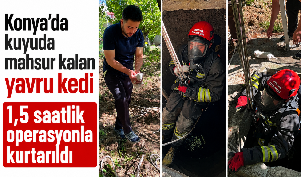 Konya’da kuyuda mahsur kalan yavru kedi 1,5 saatlik operasyonla kurtarıldı