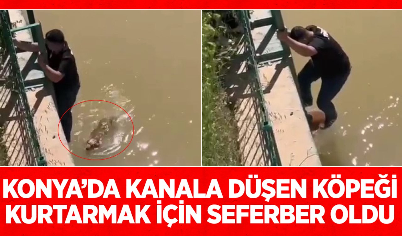 Konya’da kanala düşen köpeği kurtarmak için seferber oldu
