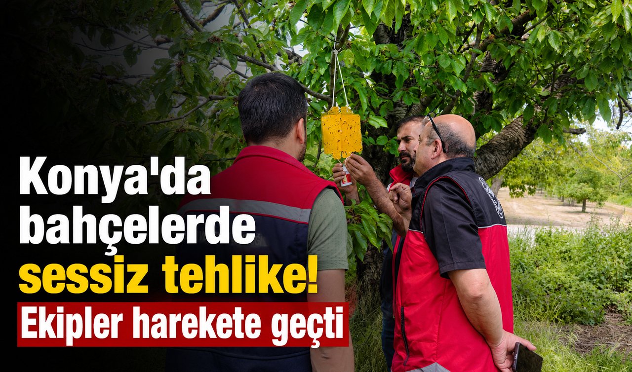 Konya’da bahçelerde sessiz tehlike! Ekipler harekete geçti