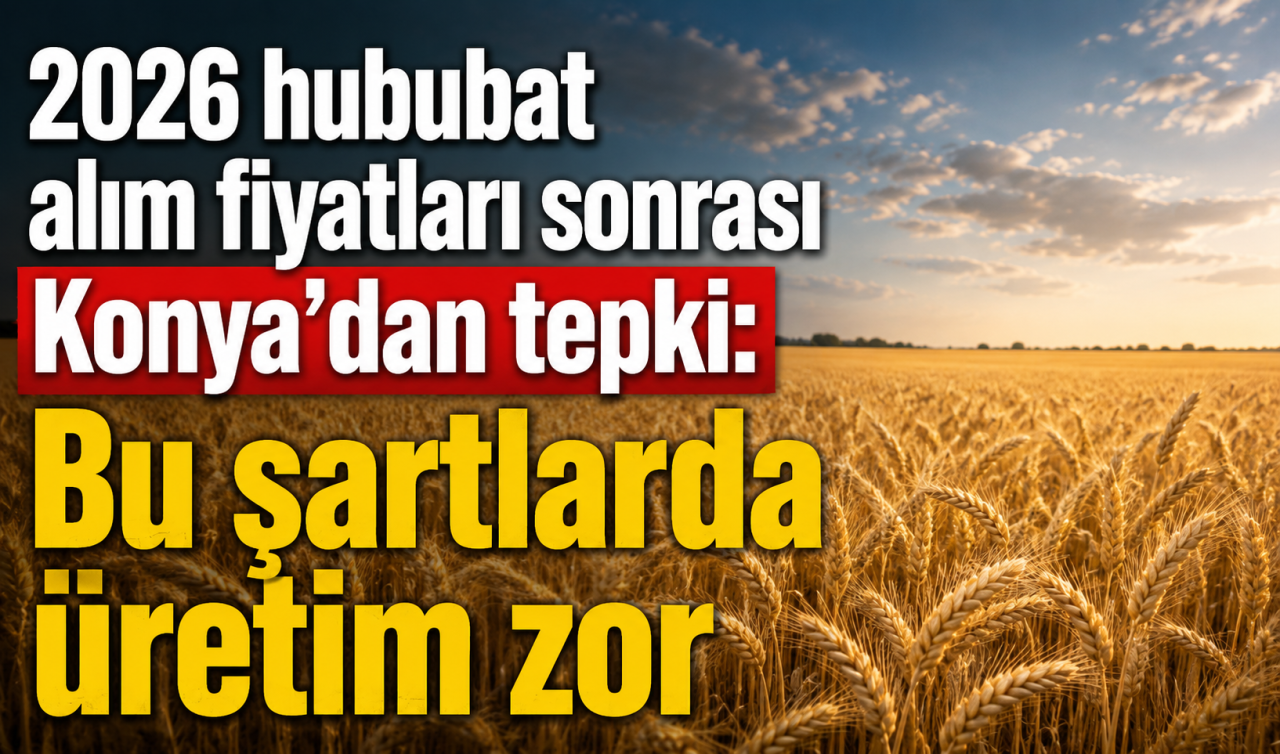 2026 hububat alım fiyatlarına Konya’dan tepki: “Bu şartlarda üretim zor’’