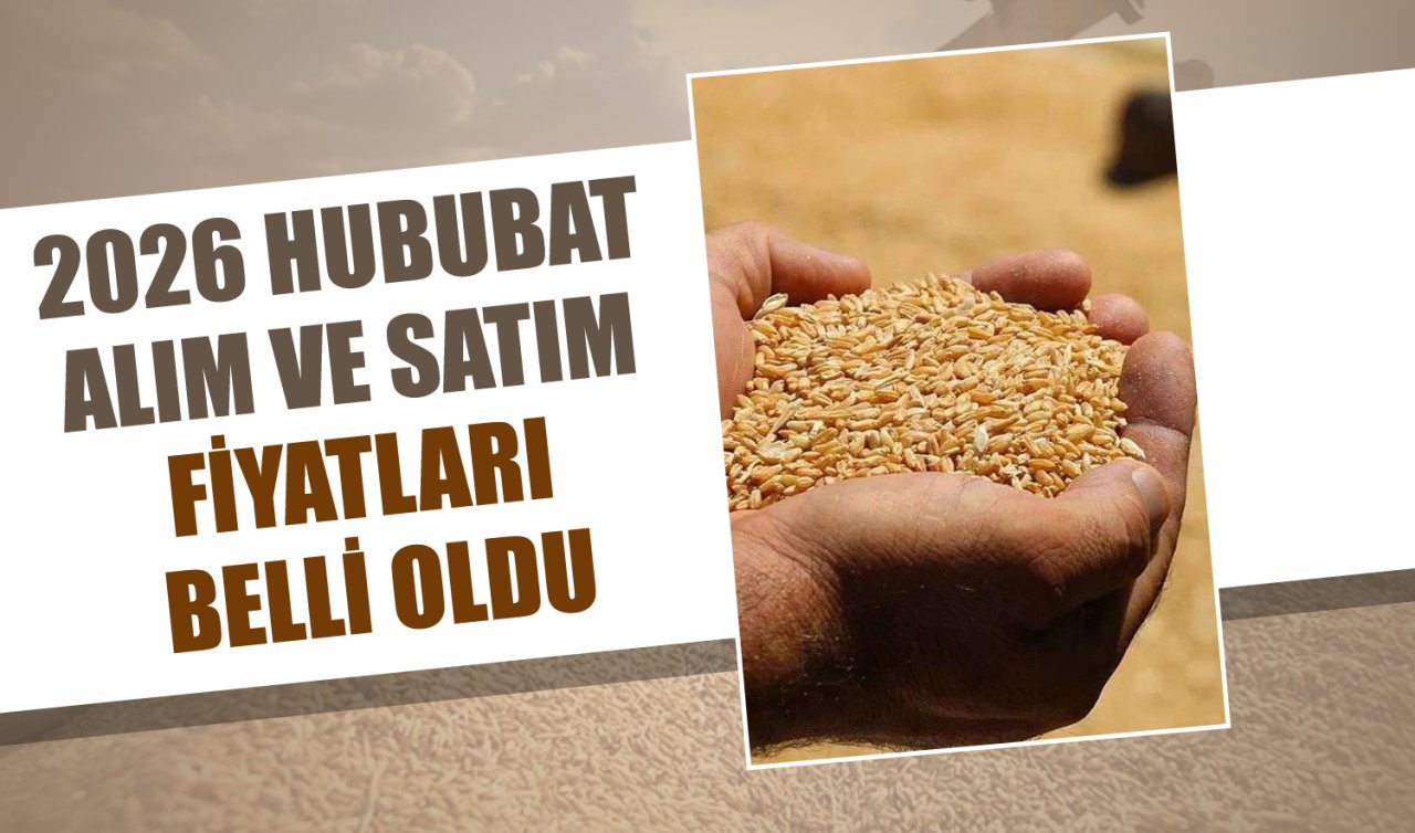2026 Hububat alım ve satım fiyatları belli oldu