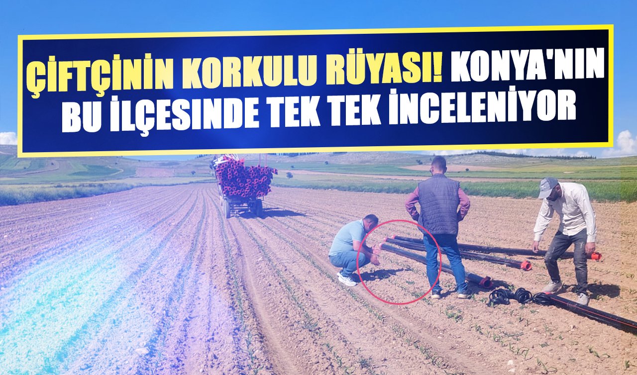 Çiftçinin korkulu rüyası! Konya’nın bu ilçesinde tek tek inceleniyor