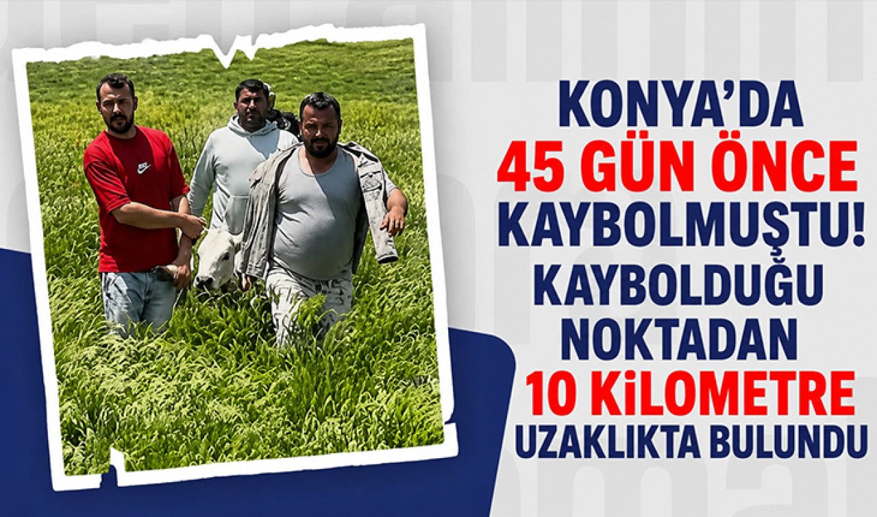 Konya’da 45 gün önce kaybolmuştu! Kaybolduğu noktadan 10 kilometre uzaklıkta bulundu