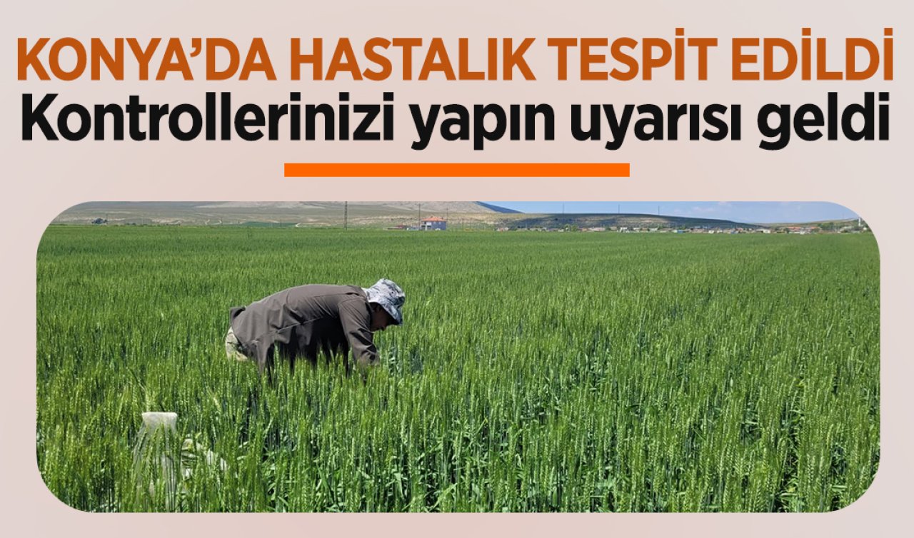 Konya’da hastalık tespit edildi! Kontrollerinizi yapın uyarısı geldi 