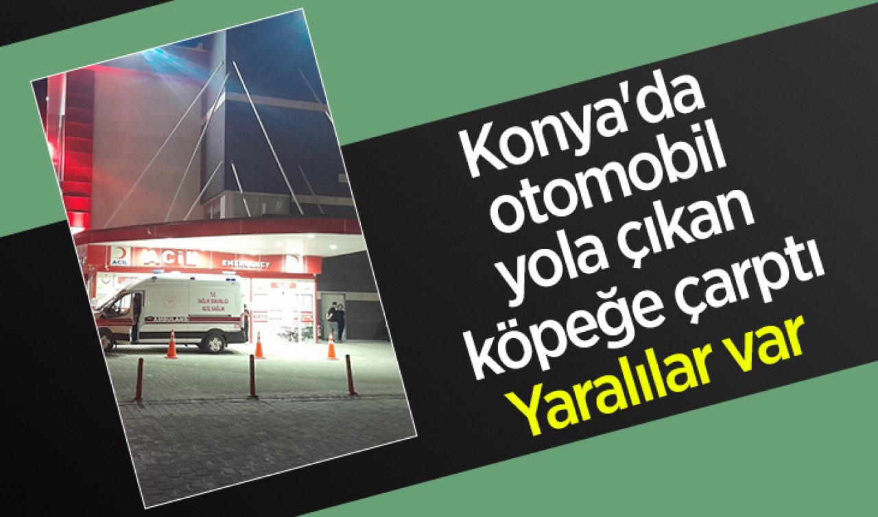 Konya’da otomobil yola çıkan köpeğe çarptı: Yaralılar var 
