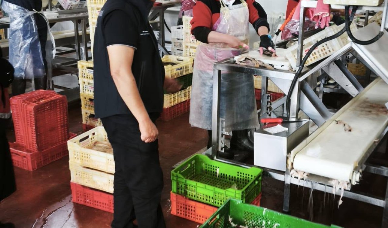 Beyşehir’de su ürünleri denetimleri aralıksız sürüyor