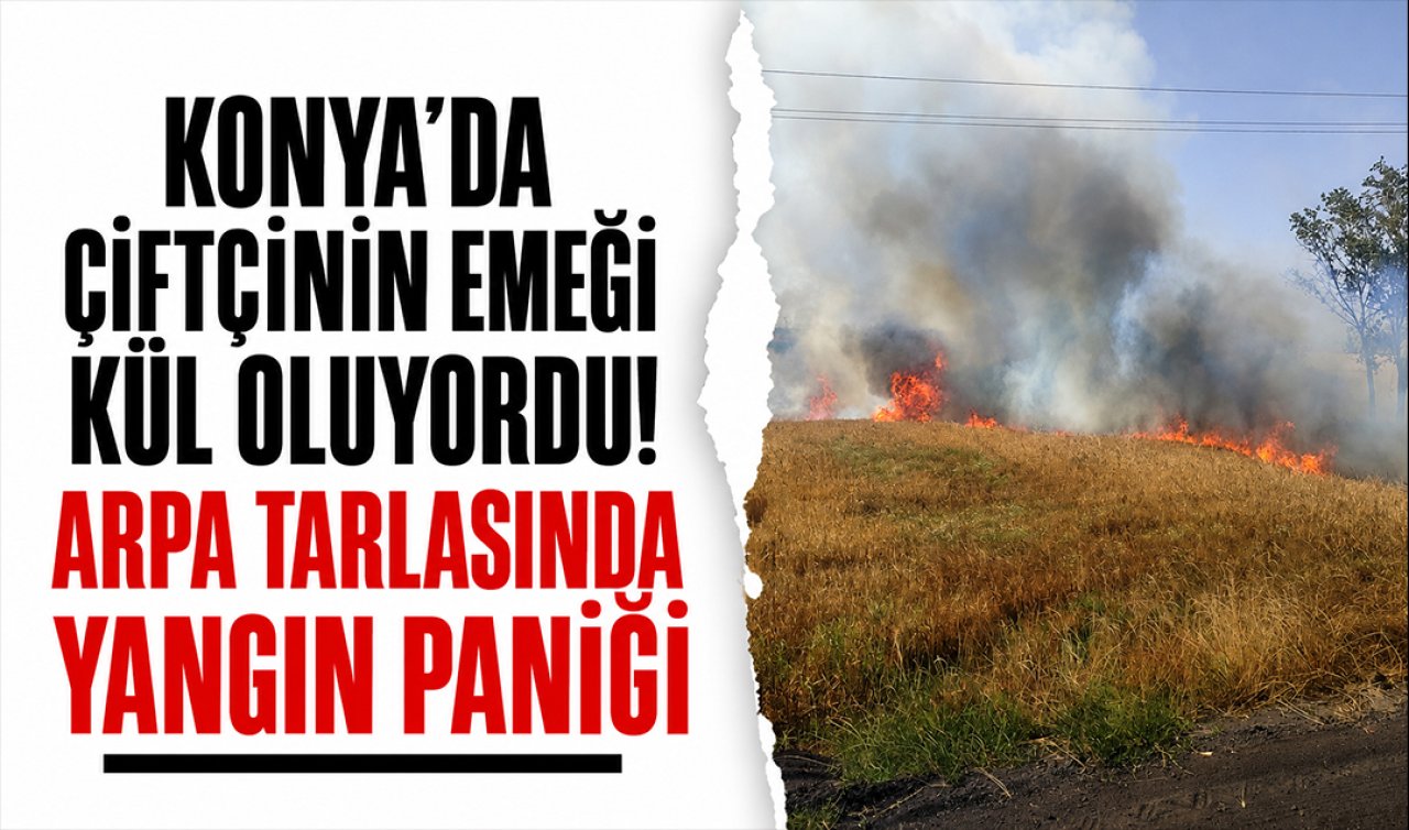 Konya’da çiftçinin emeği kül oluyordu! Arpa tarlasında yangın paniği