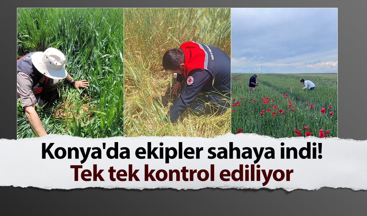 Konya’da ekipler sahaya indi! Tek tek kontrol ediliyor 