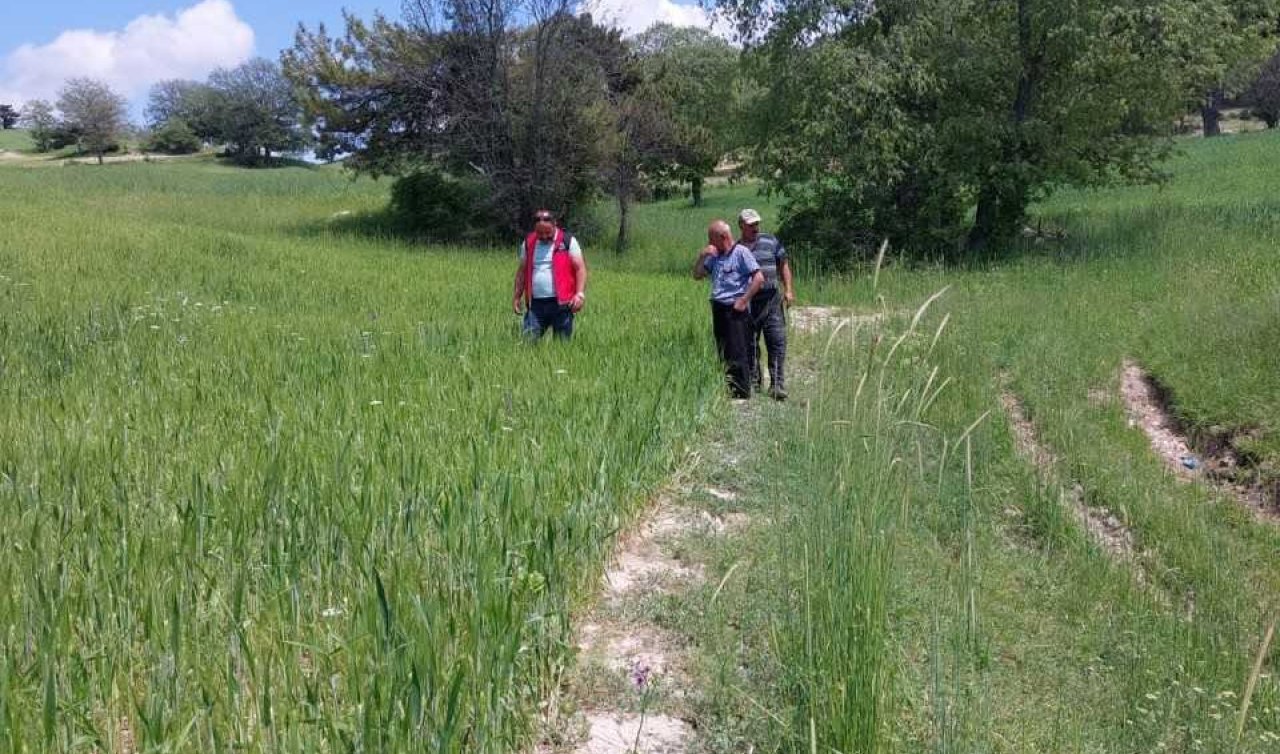 Güneypınar Mahallesi’nde dolu zararı: Hasar tespit çalışmaları sürüyor
