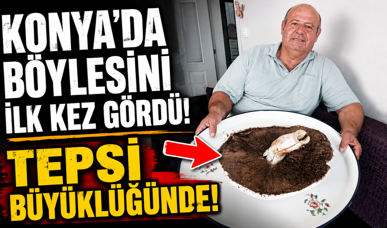 Konya’da böylesini ilk kez gördü! Tepsi büyüklüğünde