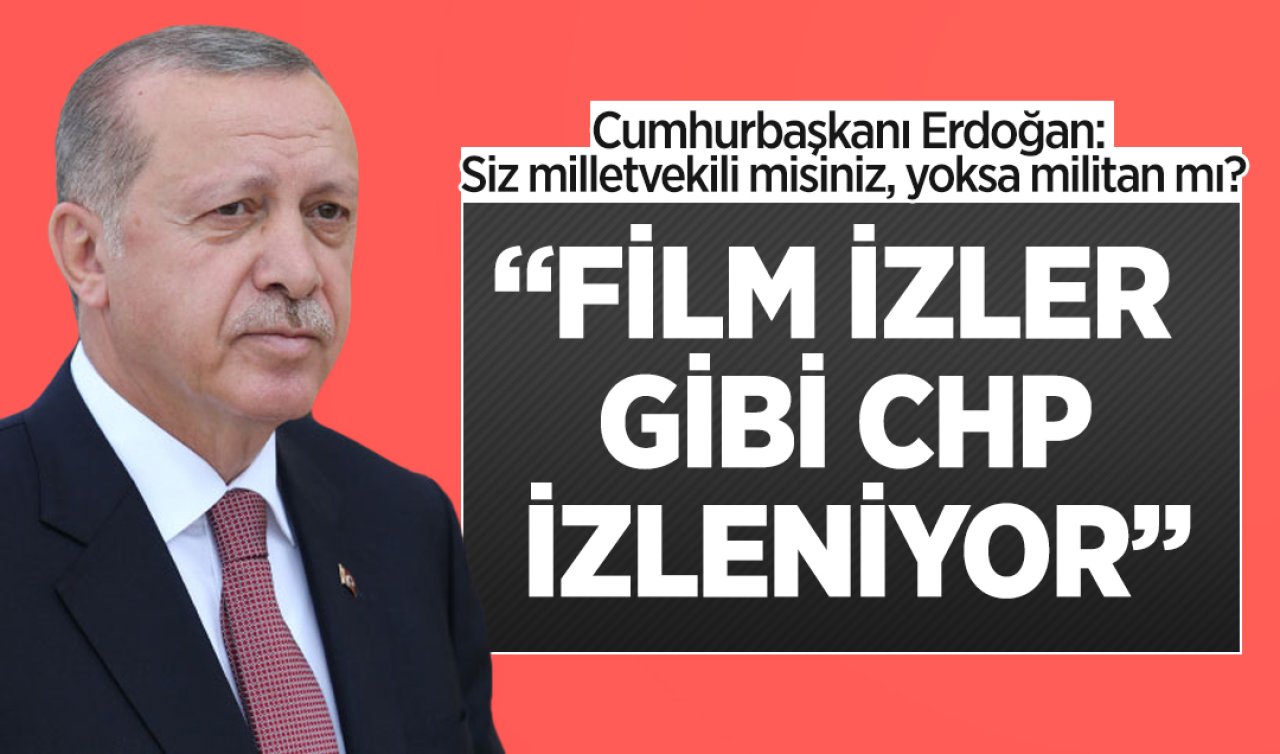 Cumhurbaşkanı Erdoğan: Siz milletvekili misiniz, yoksa militan mı?