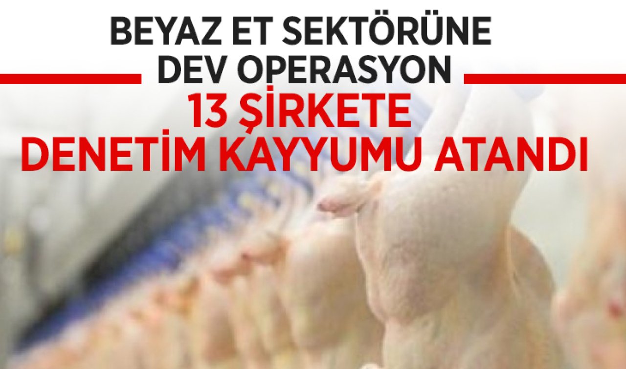 Beyaz et sektöründeki 13 şirkete denetim kayyımı atandı