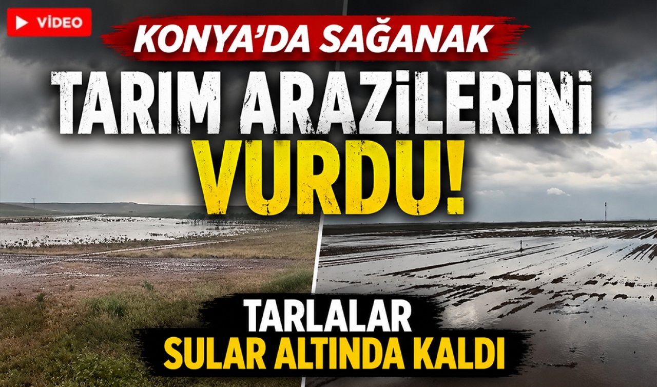 Konya’da sağanak tarım arazilerini vurdu! Tarlalar sular altında kaldı