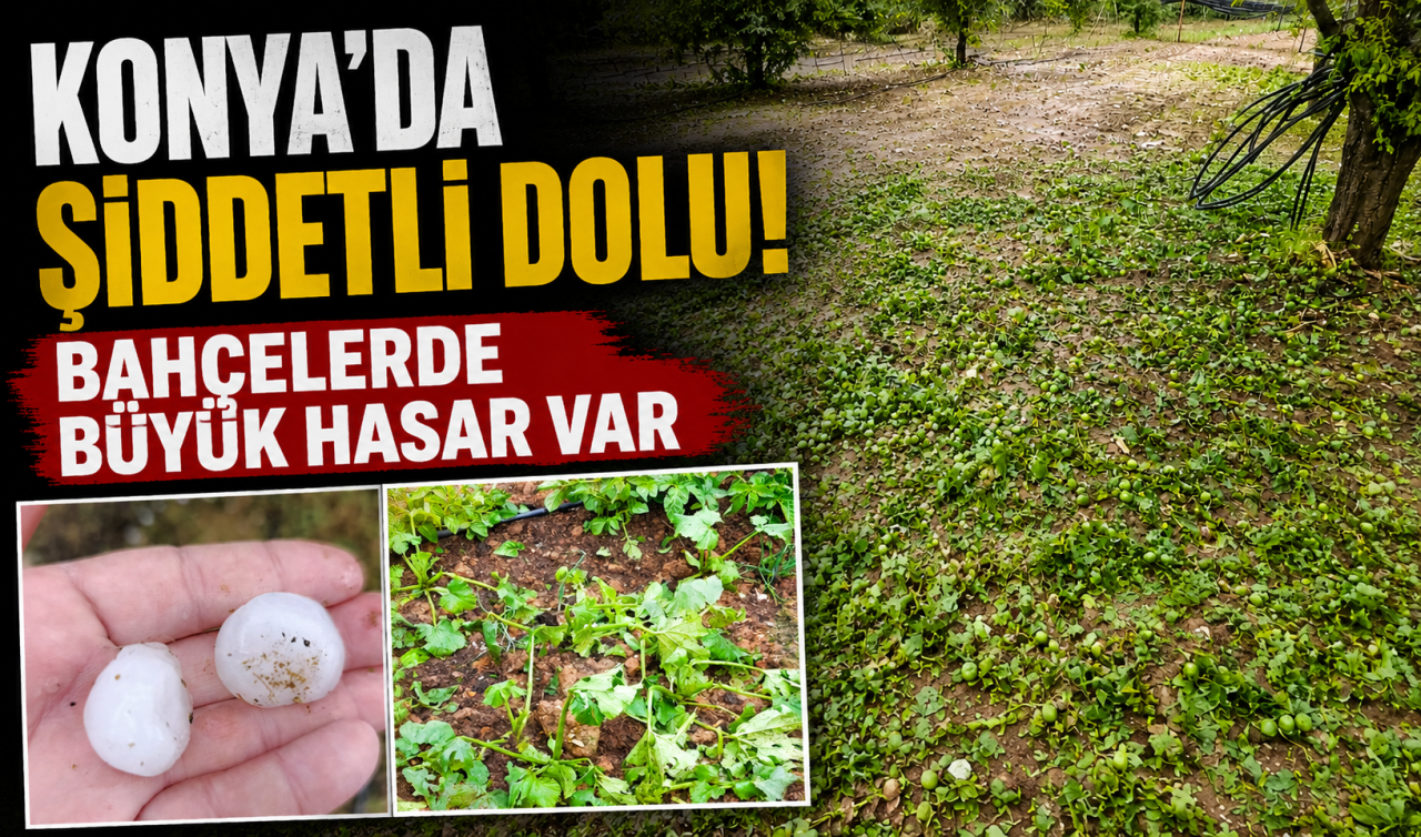 Konya’da şiddetli dolu! Bahçelerde büyük hasar var