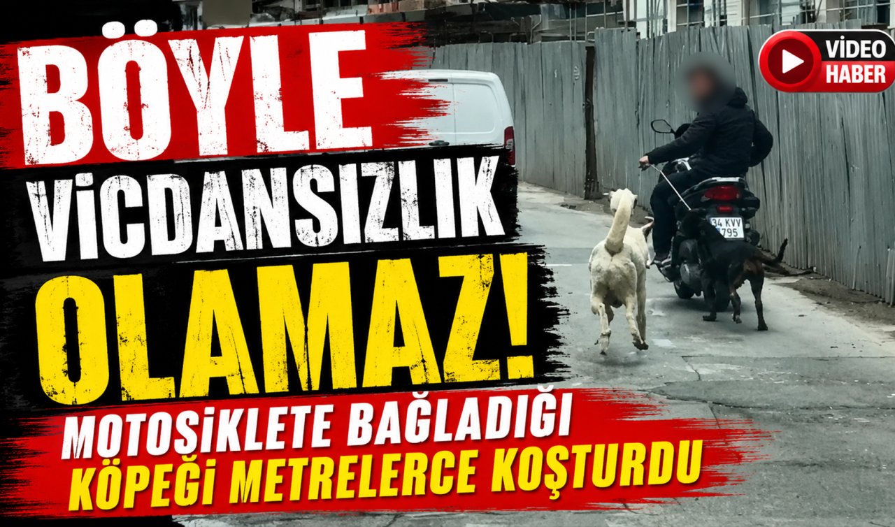 Böyle vicdansızlık olamaz! Motosiklete bağladığı köpeği metrelerce koşturdu 