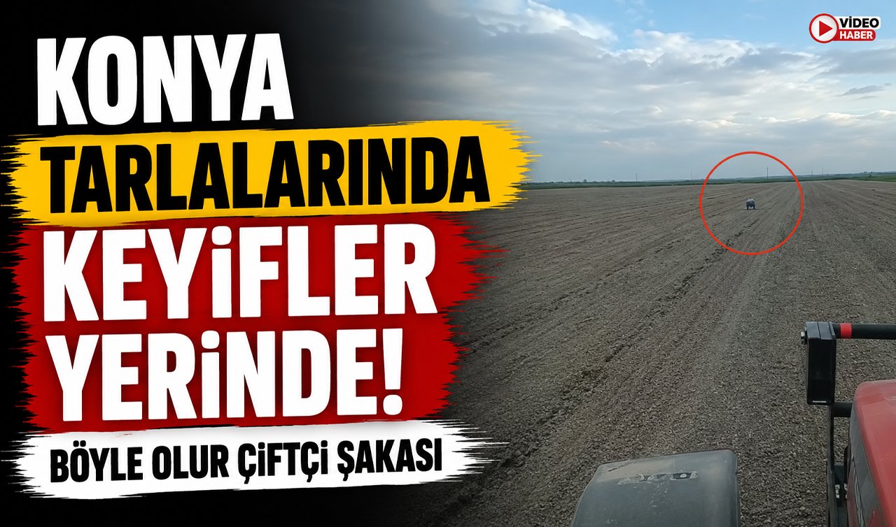 Konya tarlalarında keyifler yerinde! Böyle olur çiftçi şakası